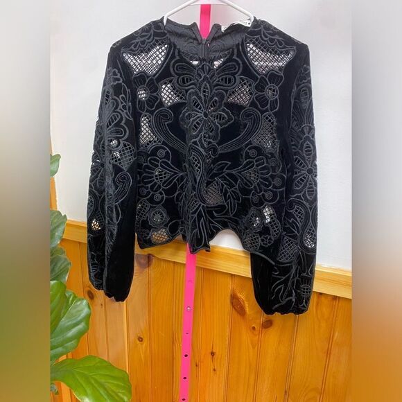 NWOT ZARA EMBROIDERED VELVET BLOUSE SZ XS - Picture 3 of 7